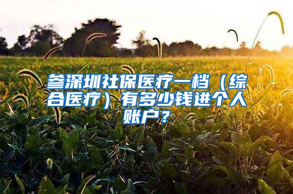 参深圳社保医疗一档（综合医疗）有多少钱进个人账户？