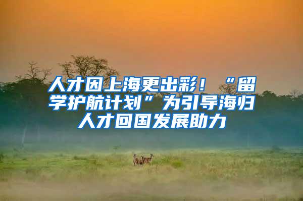 人才因上海更出彩！“留学护航计划”为引导海归人才回国发展助力