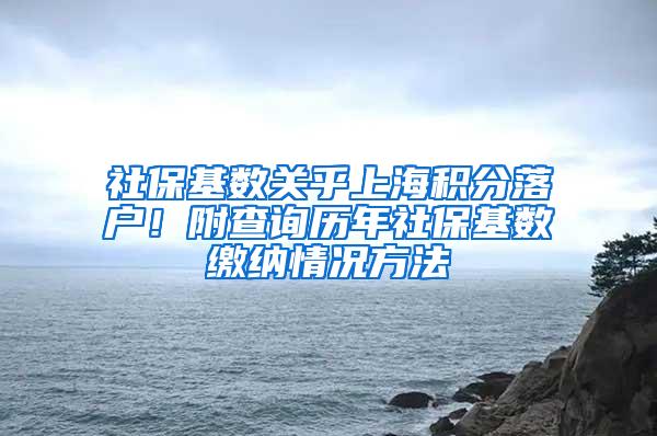 社保基数关乎上海积分落户！附查询历年社保基数缴纳情况方法