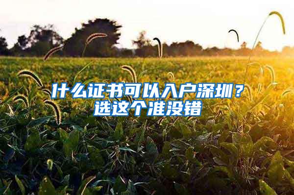 什么证书可以入户深圳？选这个准没错