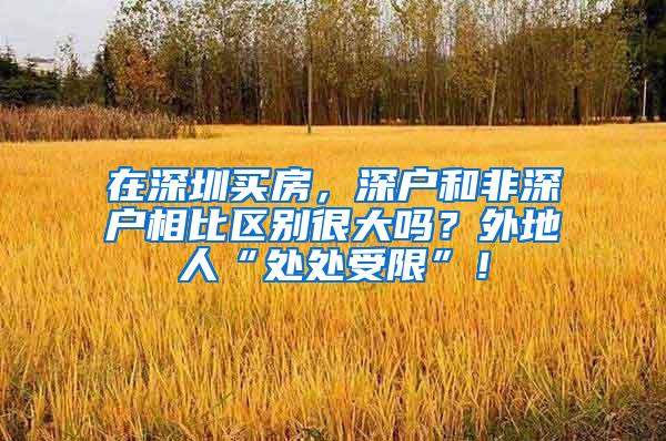 在深圳买房，深户和非深户相比区别很大吗？外地人“处处受限”！