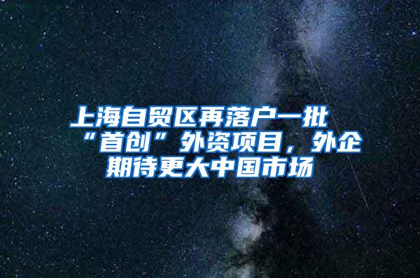 上海自贸区再落户一批“首创”外资项目，外企期待更大中国市场