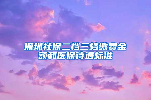 深圳社保二档三档缴费金额和医保待遇标准