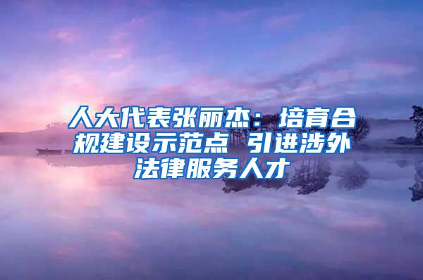 人大代表张丽杰：培育合规建设示范点 引进涉外法律服务人才