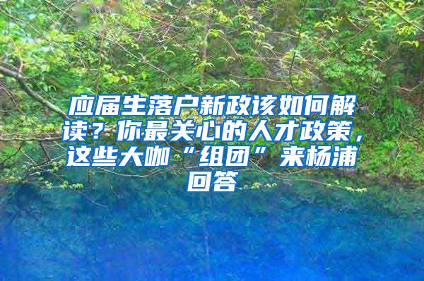 应届生落户新政该如何解读？你最关心的人才政策，这些大咖“组团”来杨浦回答