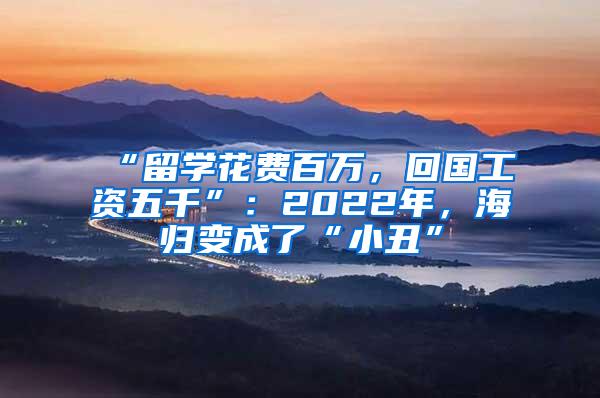 “留学花费百万，回国工资五千”：2022年，海归变成了“小丑”