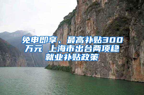 免申即享、最高补贴300万元 上海市出台两项稳就业补贴政策