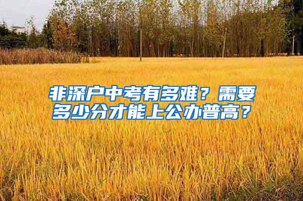 非深户中考有多难？需要多少分才能上公办普高？