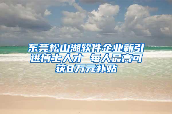 东莞松山湖软件企业新引进博士人才 每人最高可获8万元补贴