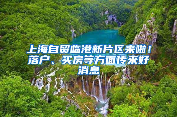 上海自贸临港新片区来啦！落户、买房等方面传来好消息