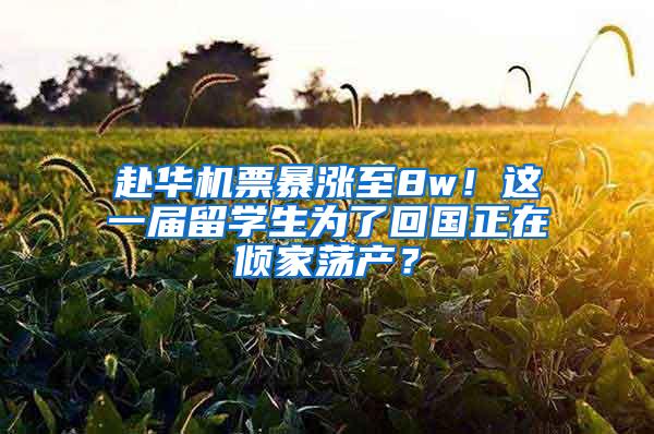 赴华机票暴涨至8w！这一届留学生为了回国正在倾家荡产？