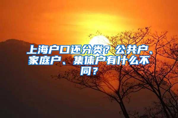 上海户口还分类？公共户、家庭户、集体户有什么不同？