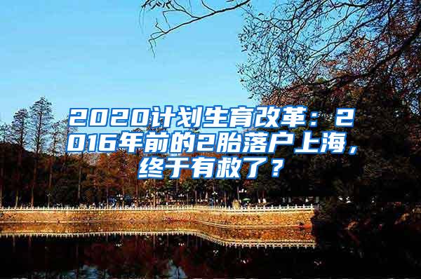 2020计划生育改革：2016年前的2胎落户上海，终于有救了？