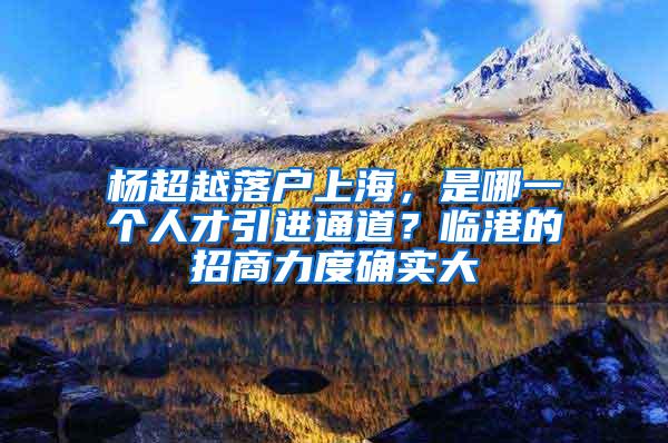 杨超越落户上海，是哪一个人才引进通道？临港的招商力度确实大