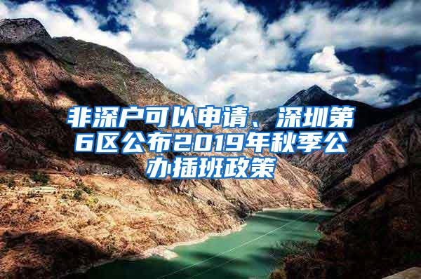 非深户可以申请、深圳第6区公布2019年秋季公办插班政策