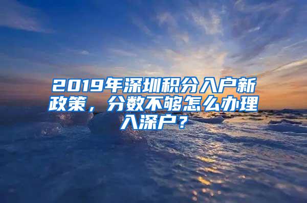 2019年深圳积分入户新政策，分数不够怎么办理入深户？