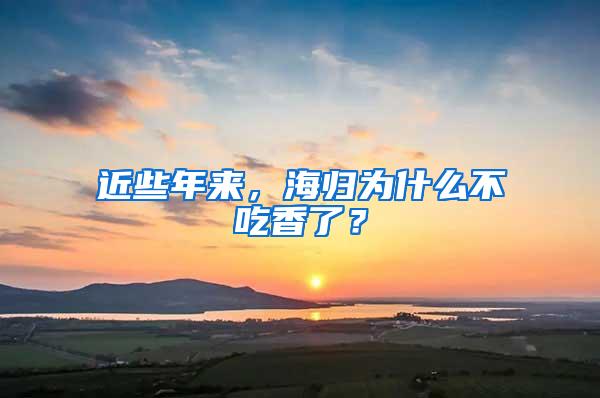 近些年来，海归为什么不吃香了？