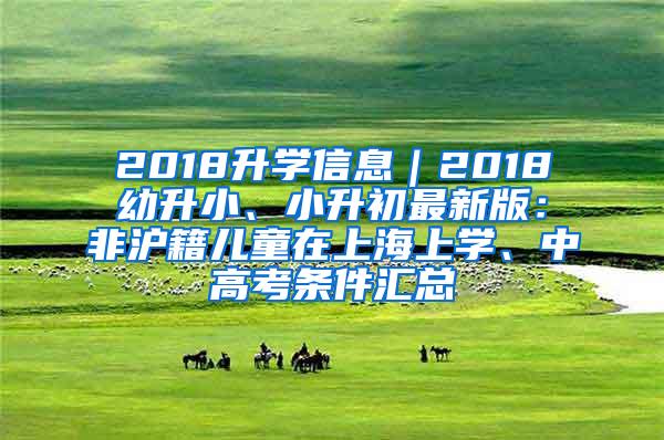 2018升学信息｜2018幼升小、小升初最新版：非沪籍儿童在上海上学、中高考条件汇总