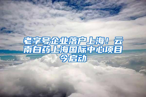 老字号企业落户上海！云南白药上海国际中心项目今启动