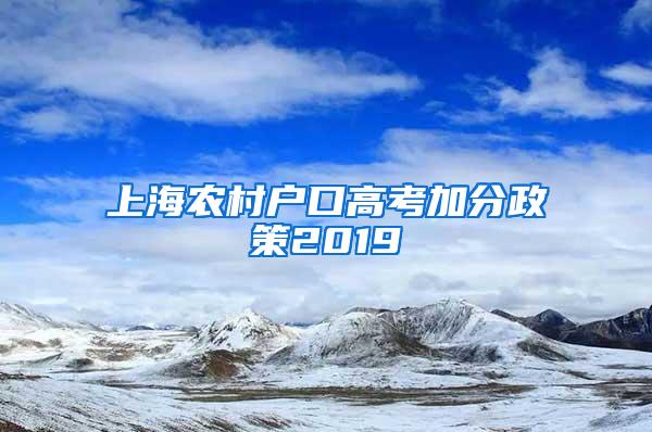 上海农村户口高考加分政策2019