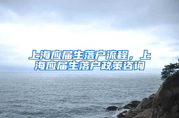 上海应届生落户流程，上海应届生落户政策咨询