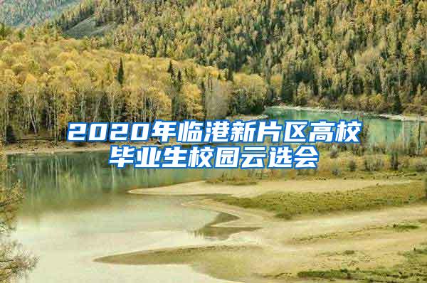 2020年临港新片区高校毕业生校园云选会