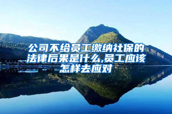 公司不给员工缴纳社保的法律后果是什么,员工应该怎样去应对