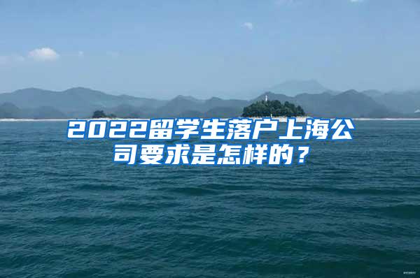 2022留学生落户上海公司要求是怎样的？