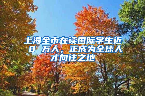 上海全市在读国际学生近 8 万人，正成为全球人才向往之地