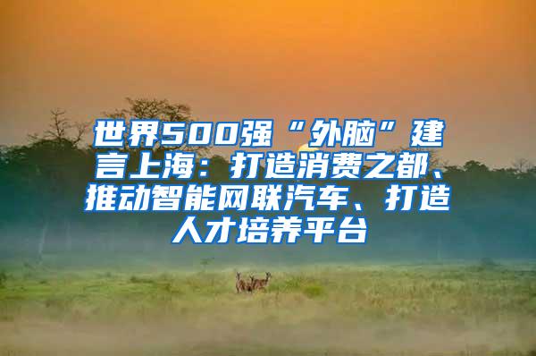 世界500强“外脑”建言上海：打造消费之都、推动智能网联汽车、打造人才培养平台