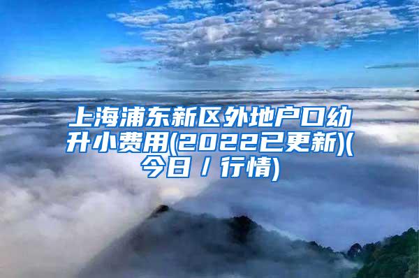 上海浦东新区外地户口幼升小费用(2022已更新)(今日／行情)