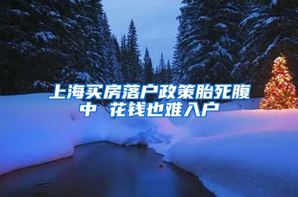 上海买房落户政策胎死腹中 花钱也难入户