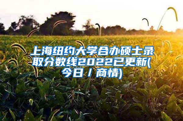 上海纽约大学合办硕士录取分数线2022已更新(今日／商情)