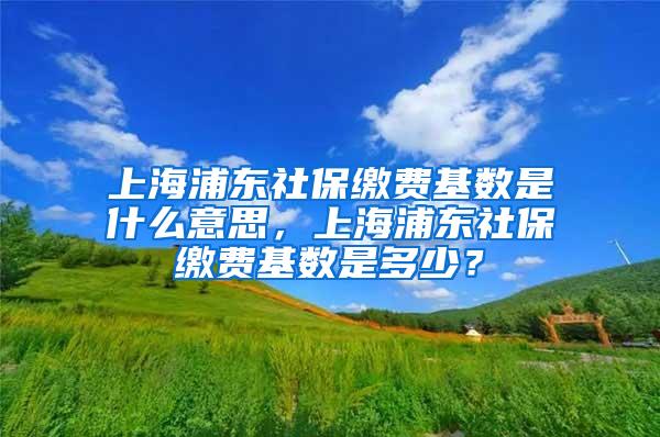 上海浦东社保缴费基数是什么意思，上海浦东社保缴费基数是多少？