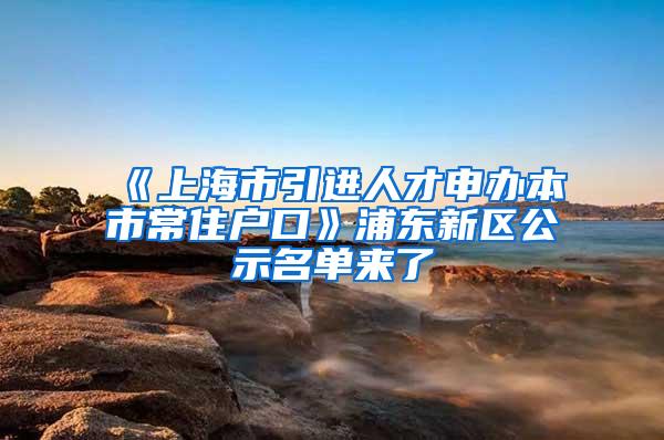 《上海市引进人才申办本市常住户口》浦东新区公示名单来了