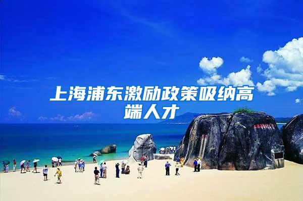 上海浦东激励政策吸纳高端人才