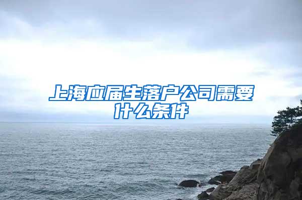 上海应届生落户公司需要什么条件