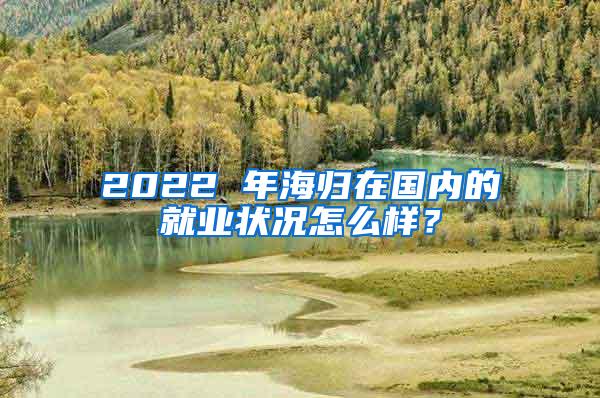 2022 年海归在国内的就业状况怎么样？