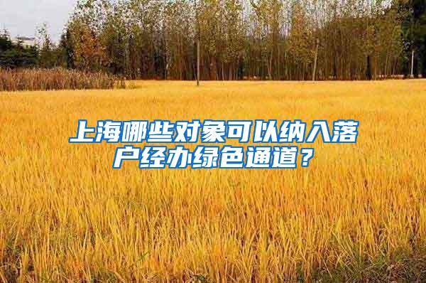 上海哪些对象可以纳入落户经办绿色通道？