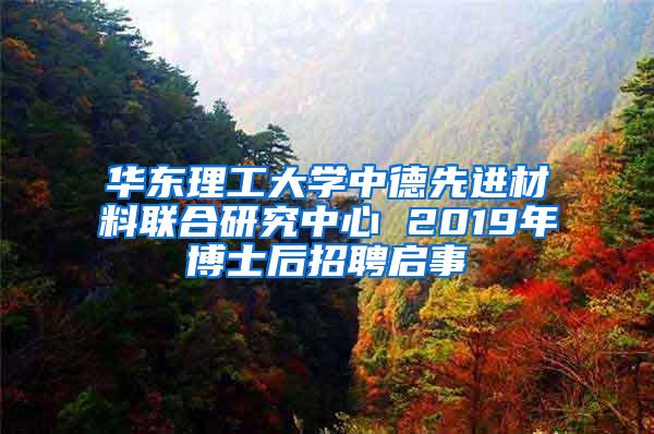 华东理工大学中德先进材料联合研究中心 2019年博士后招聘启事