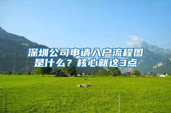 深圳公司申请入户流程图是什么？核心就这3点