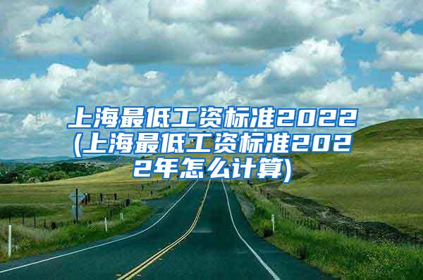 上海最低工资标准2022(上海最低工资标准2022年怎么计算)