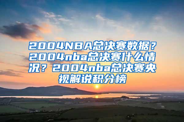 2004NBA总决赛数据？2004nba总决赛什么情况？2004nba总决赛央视解说积分榜