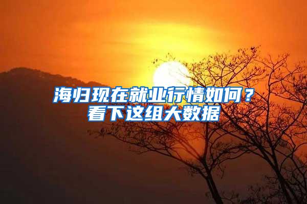 海归现在就业行情如何？看下这组大数据