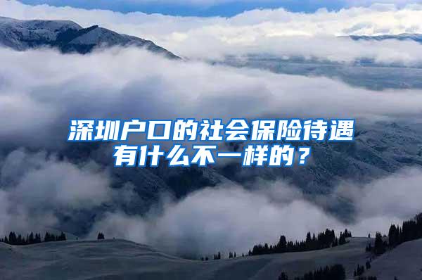 深圳户口的社会保险待遇有什么不一样的？