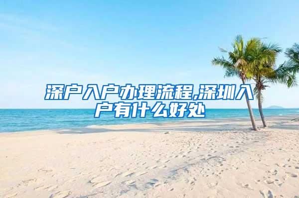 深户入户办理流程,深圳入户有什么好处