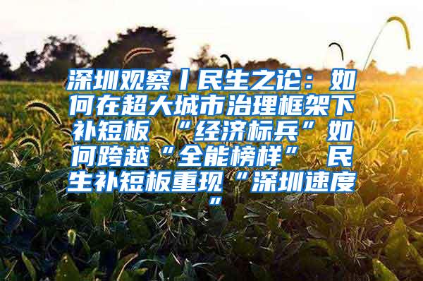 深圳观察丨民生之论：如何在超大城市治理框架下补短板 “经济标兵”如何跨越“全能榜样” 民生补短板重现“深圳速度”