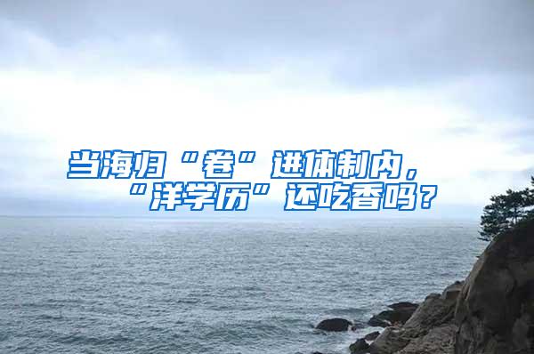 当海归“卷”进体制内，“洋学历”还吃香吗？