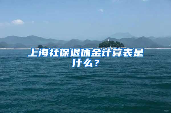 上海社保退休金计算表是什么？