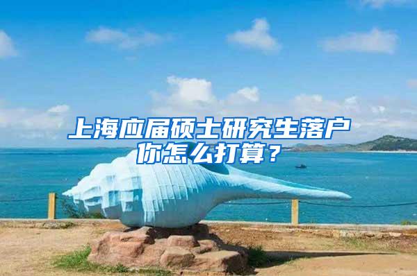 上海应届硕士研究生落户你怎么打算？